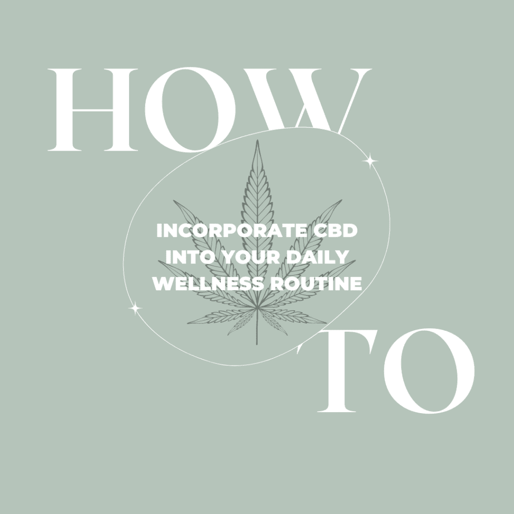 Featured Image: How to incorporate CBD into your daily wellness routine