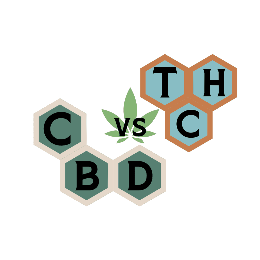 CBD vs THC what's the difference?